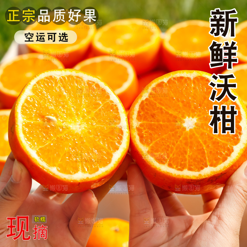 手里拿着沃柑