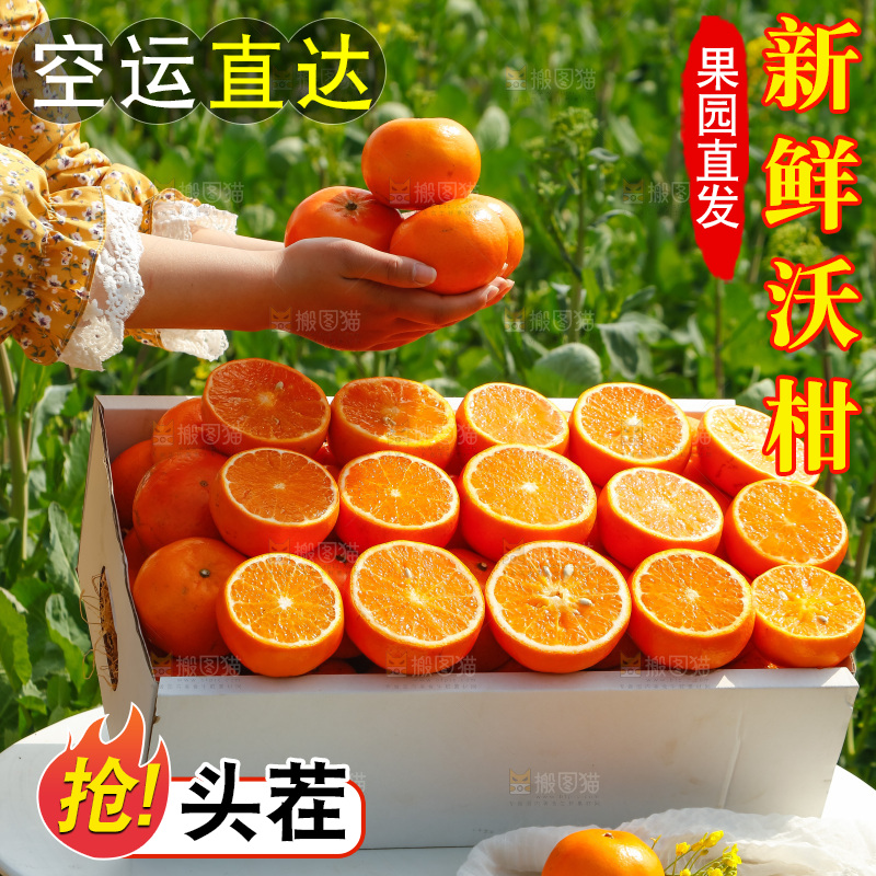 手里拿着沃柑