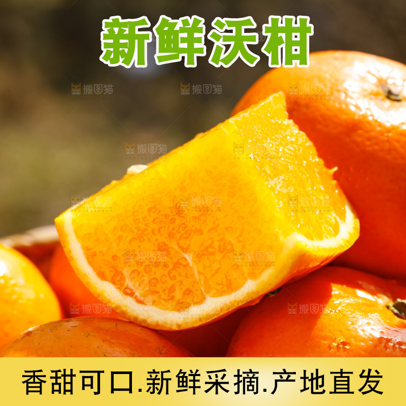 手里拿着沃柑