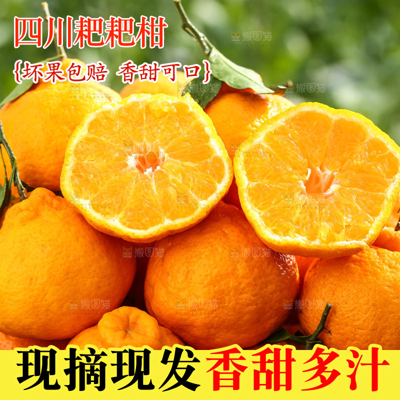 草地上的耙耙柑