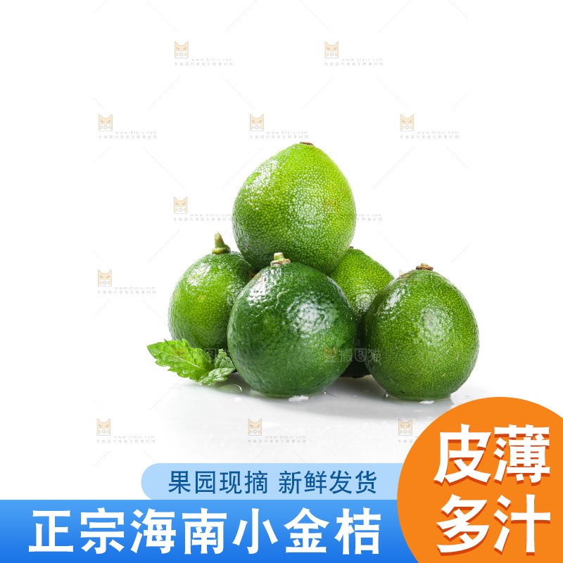 白底上的小金桔