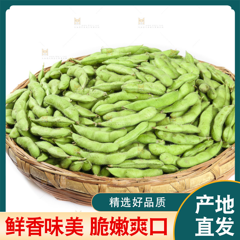 白底上的毛豆