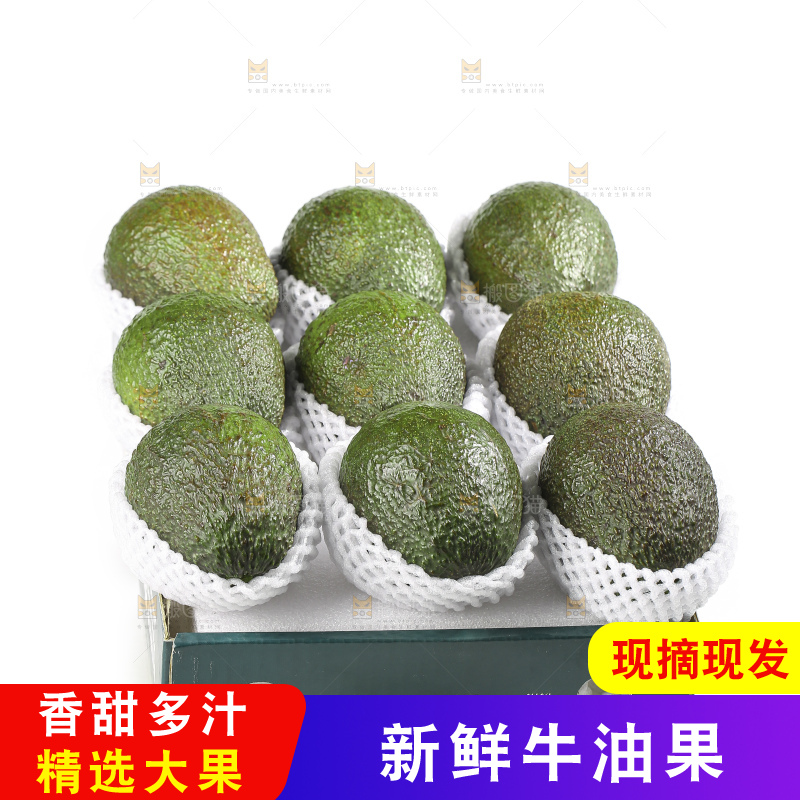 白底上的牛油果