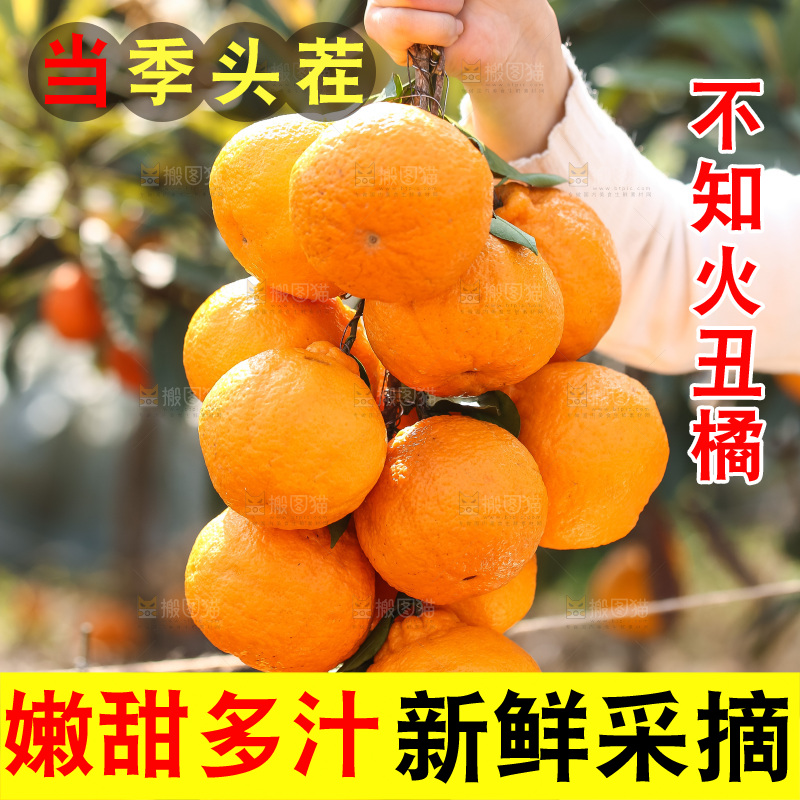 手里拿着丑八怪