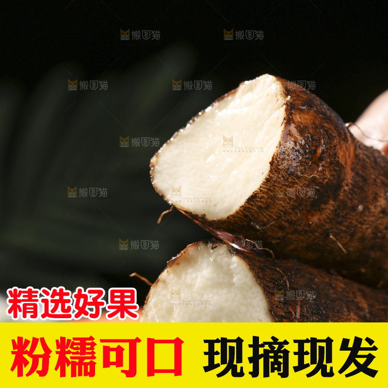 深底上放着灵芝山药