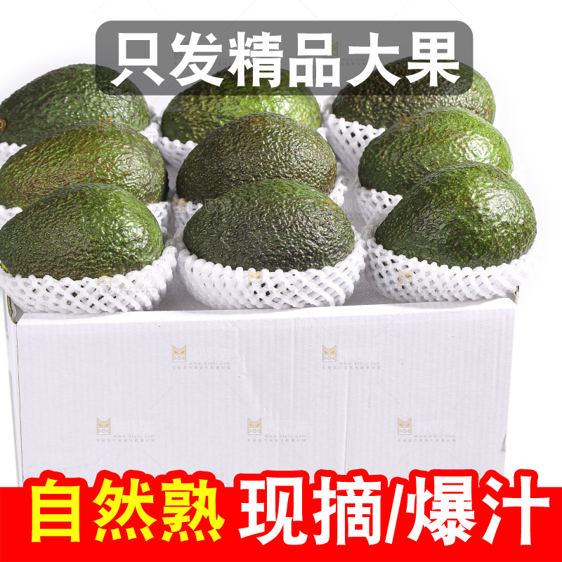 白底上的牛油果