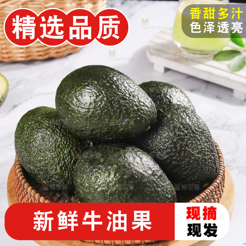 浅底上的巨无霸牛油果