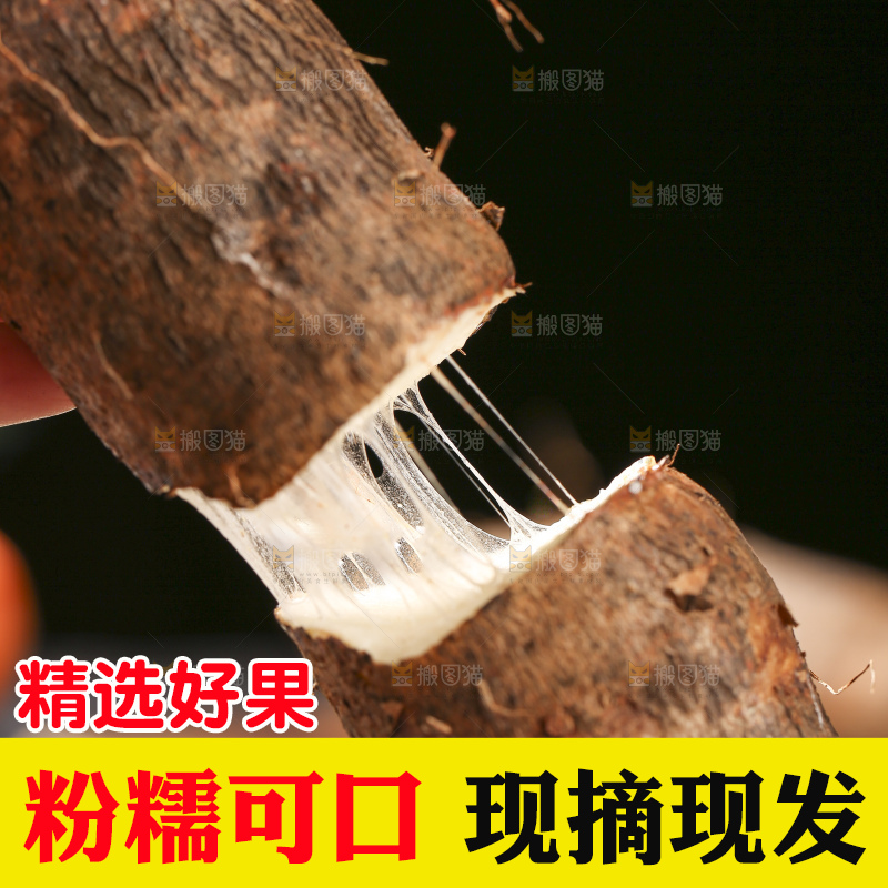 深底上放着灵芝山药