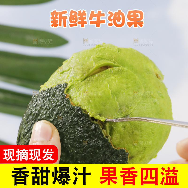 浅底上的巨无霸牛油果