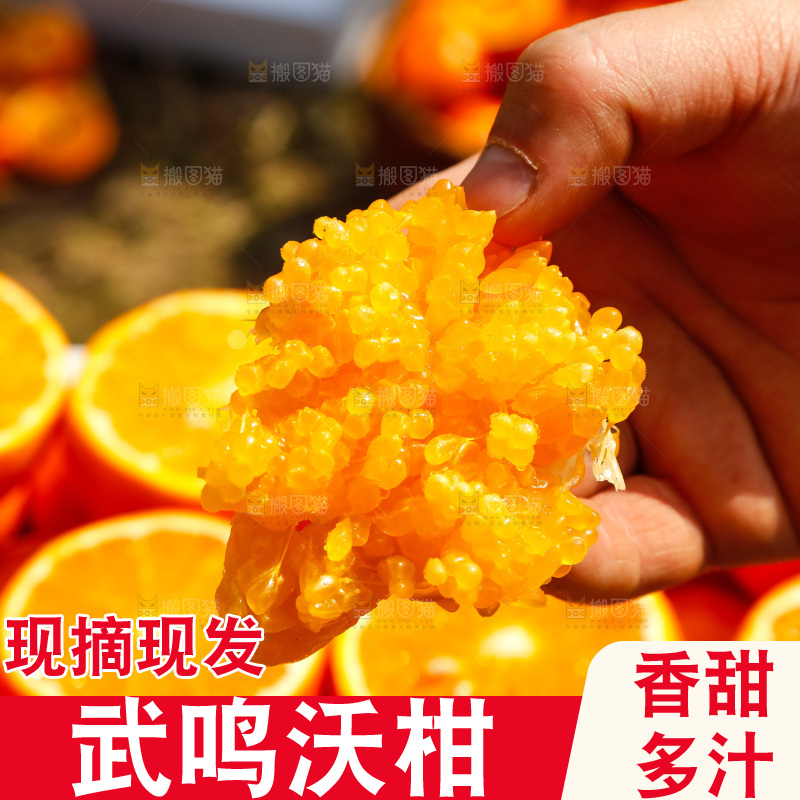 堆放着的新鲜沃柑