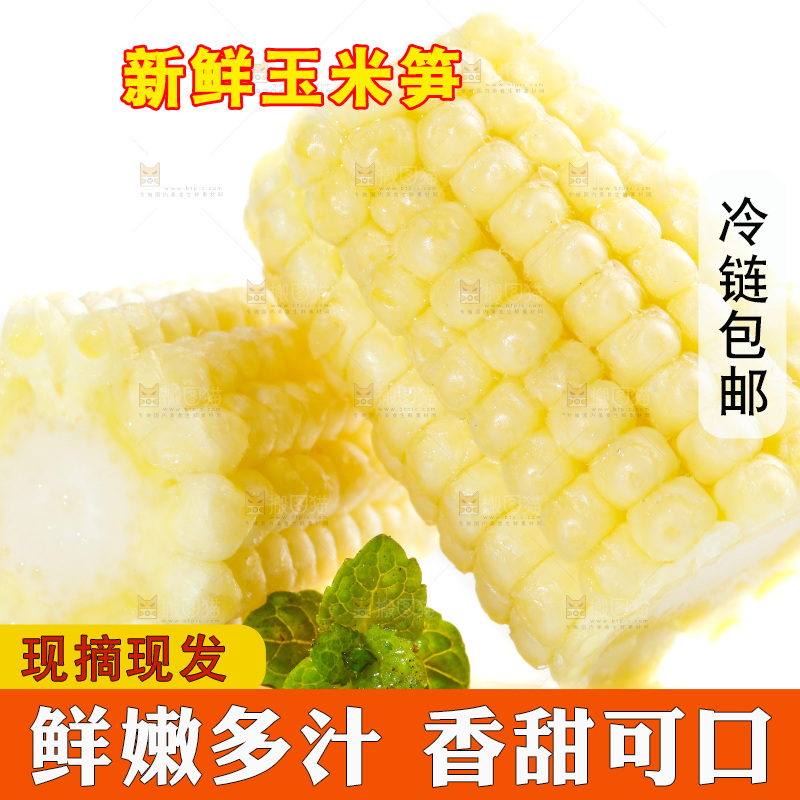白底上的珍珠笋