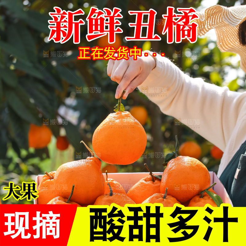 手里拿着丑八怪