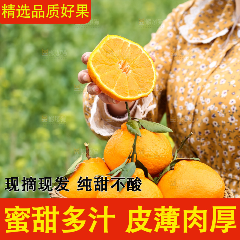 手里拿着丑八怪