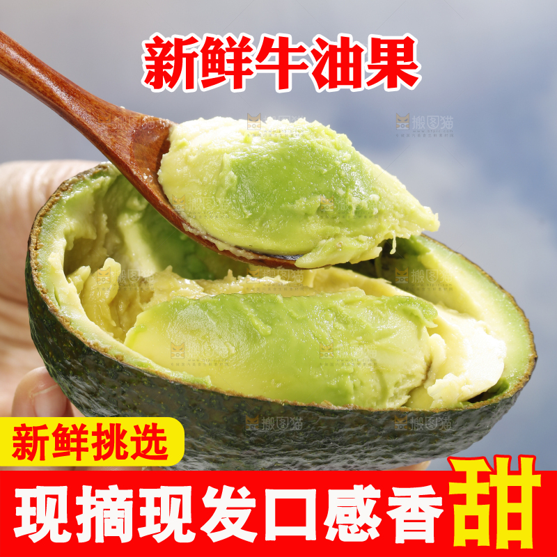 浅底上的巨无霸牛油果