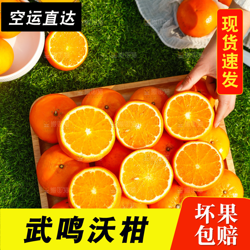 堆放着的新鲜沃柑