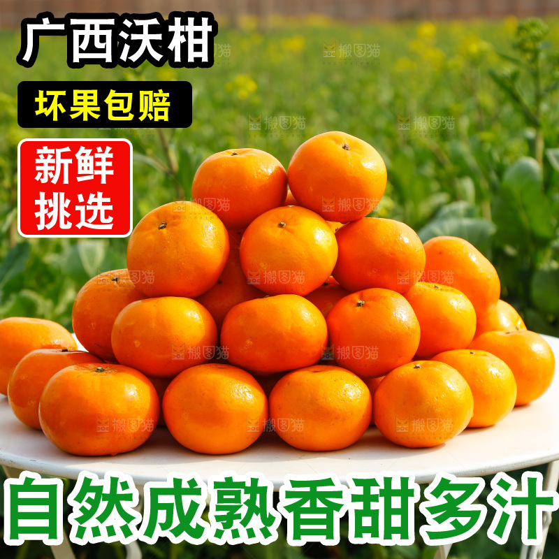 堆放着的新鲜沃柑