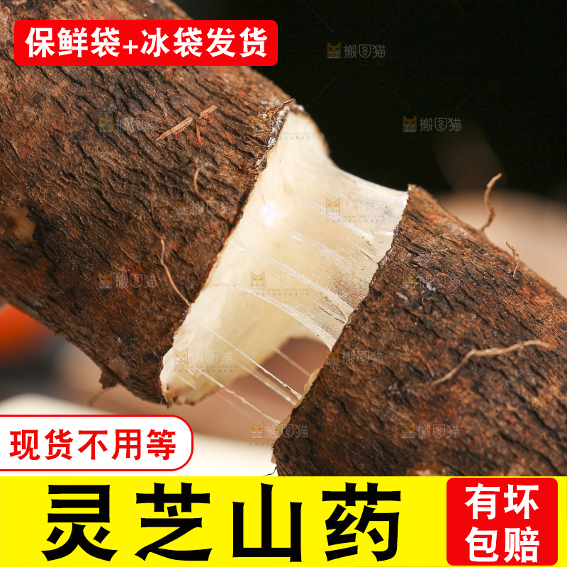 深底上放着灵芝山药