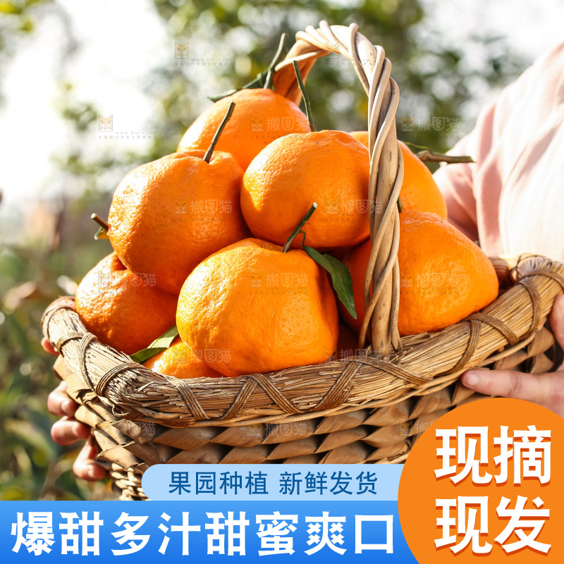 手里拿着丑八怪