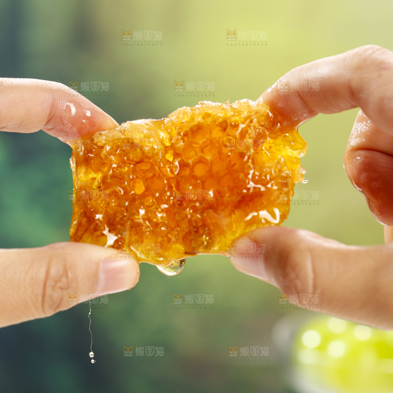 浅底上的蜂巢蜜