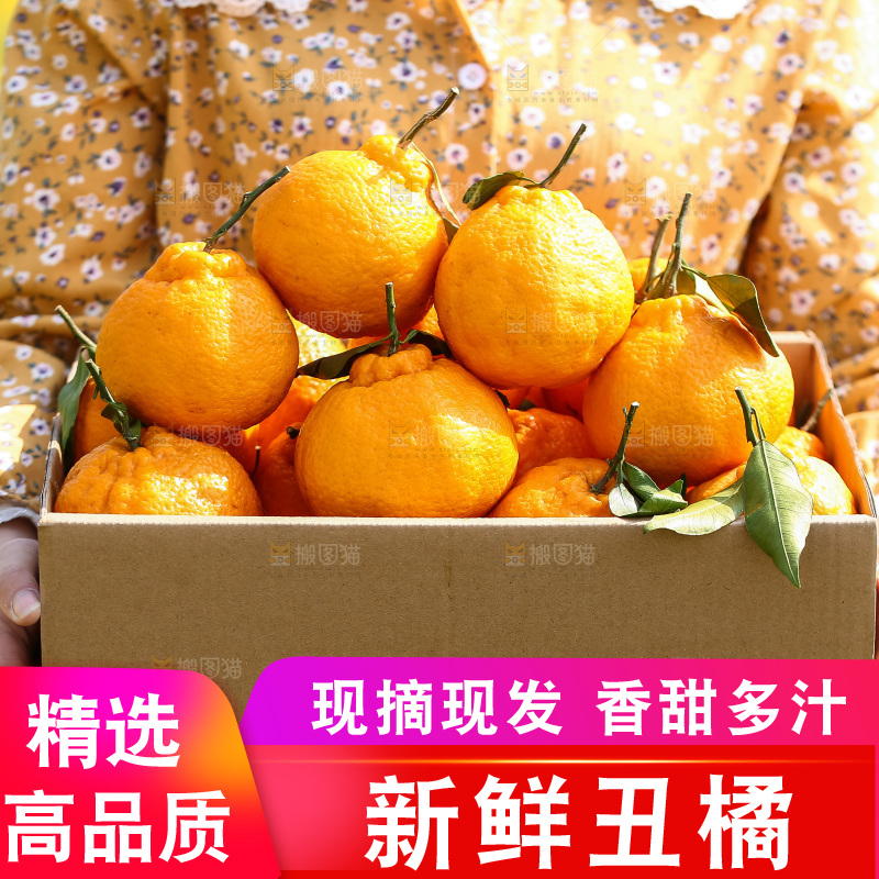 手里拿着丑八怪