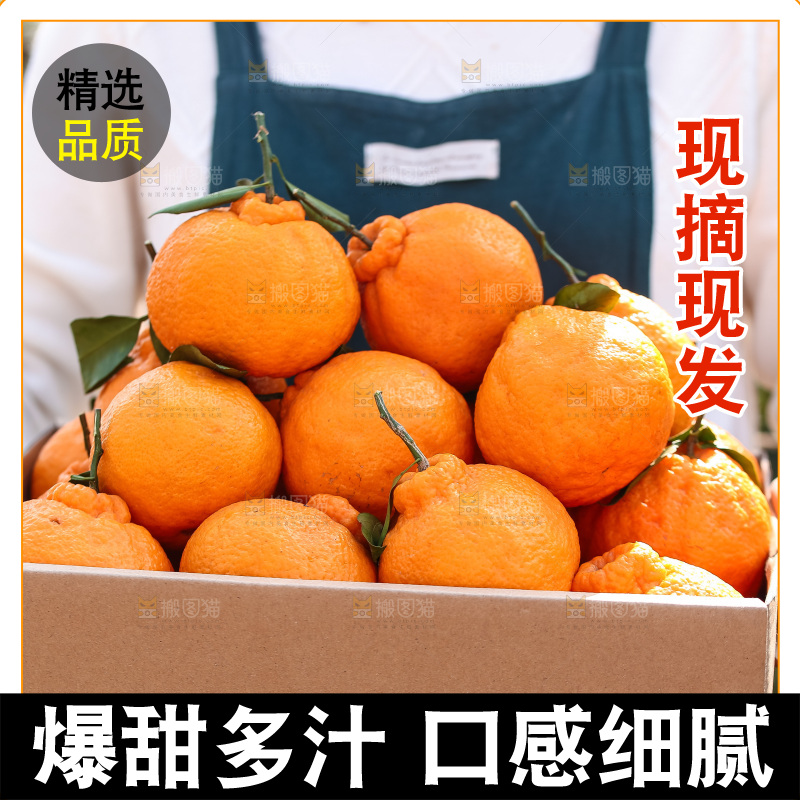 手里拿着丑八怪
