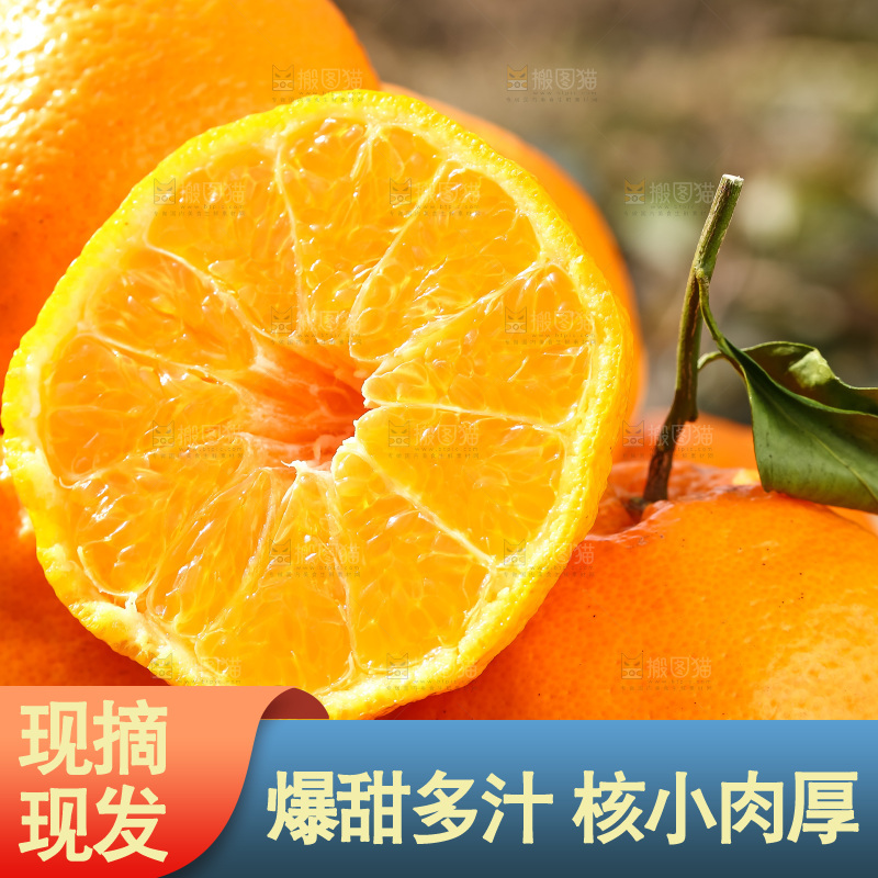 草地上的耙耙柑