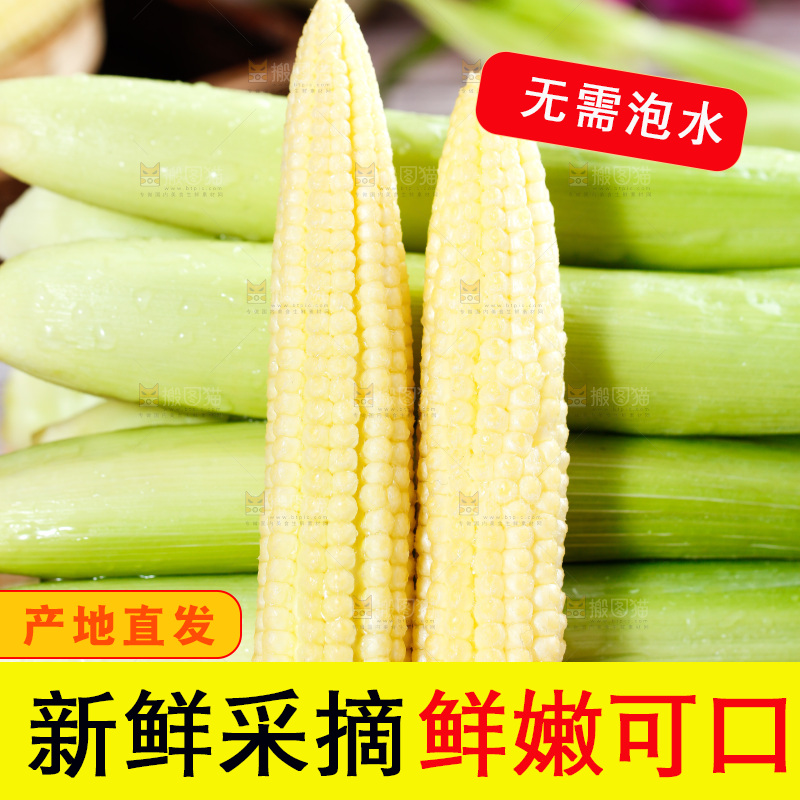 深底上的玉米笋