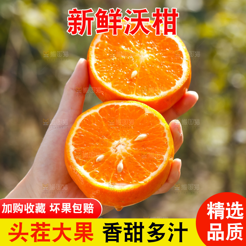 手里拿着沃柑