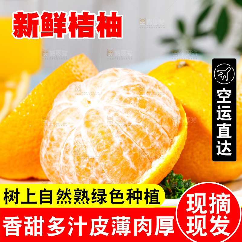 浅底上的橘柚