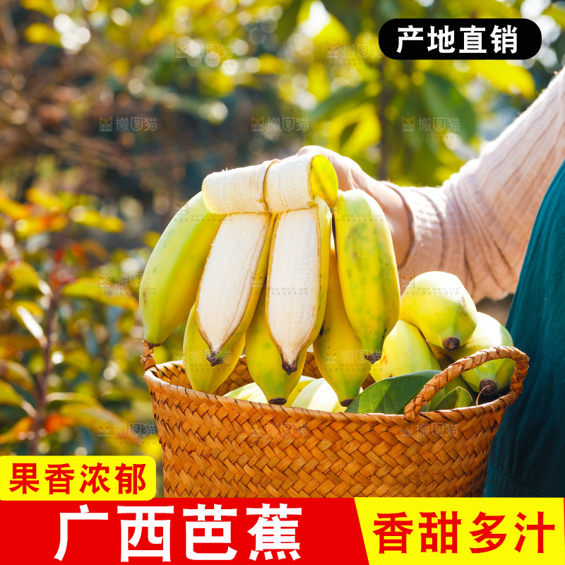 手里拿着广西芭蕉