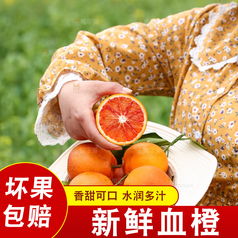 手里拿着赣南血橙