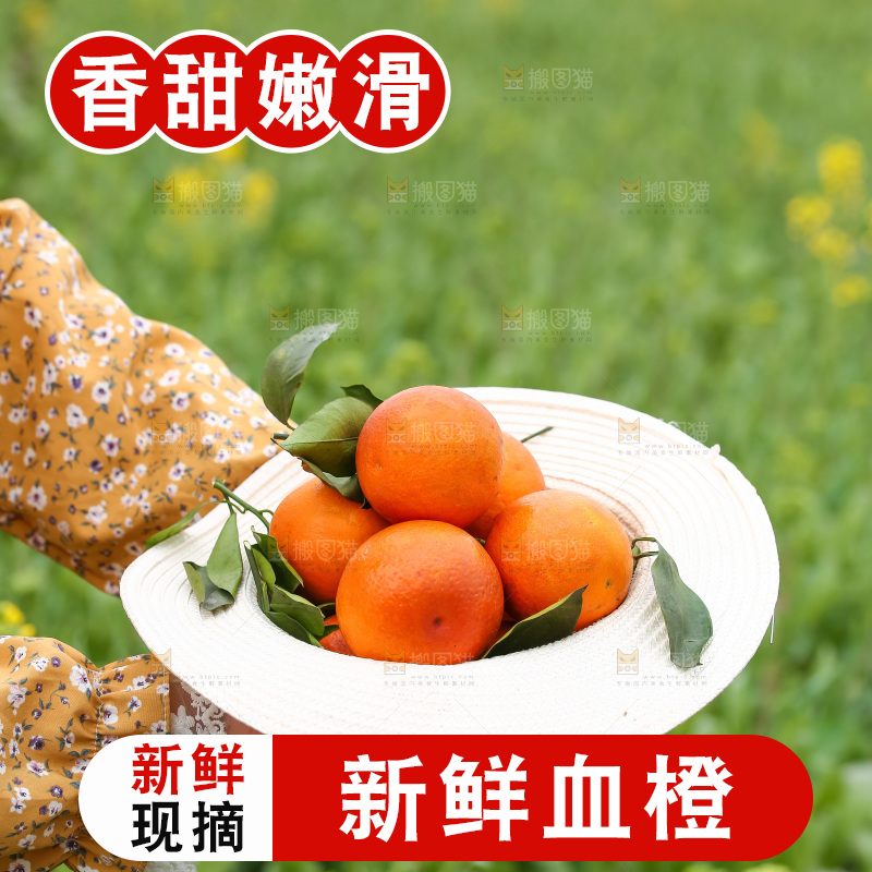 手里拿着赣南血橙