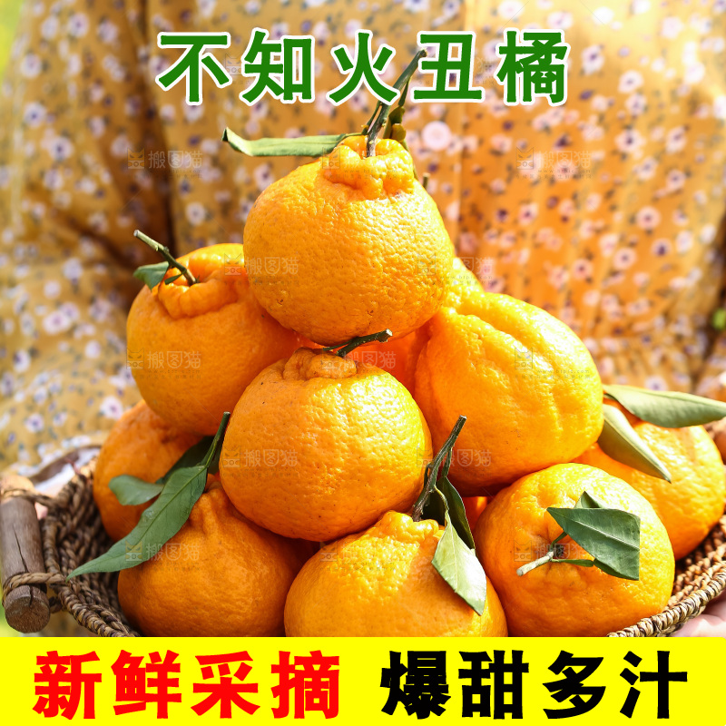 手里拿着丑八怪