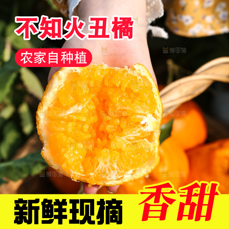 手里拿着丑八怪
