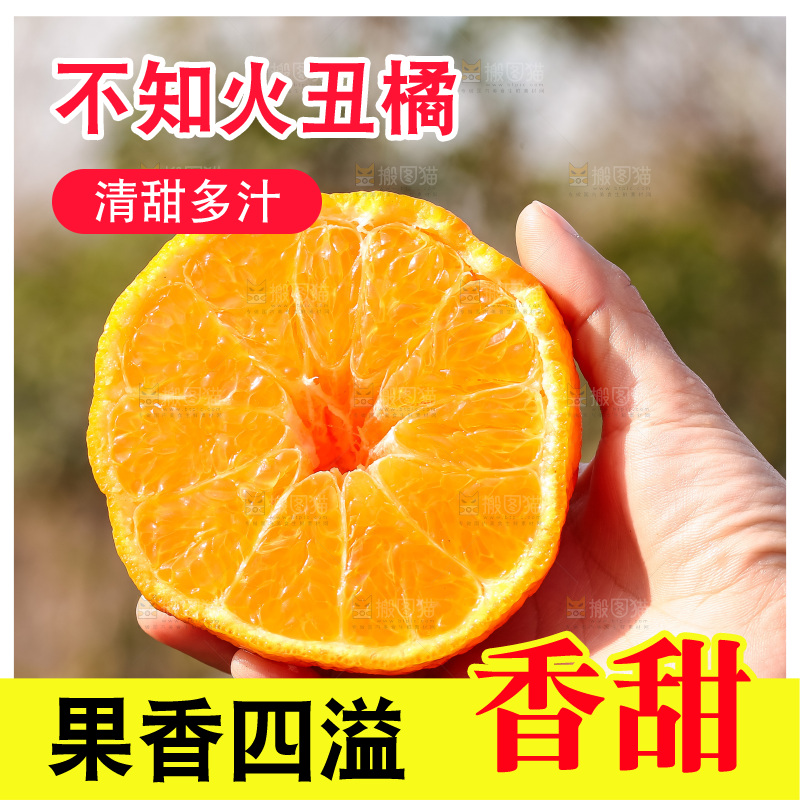 手里拿着丑八怪