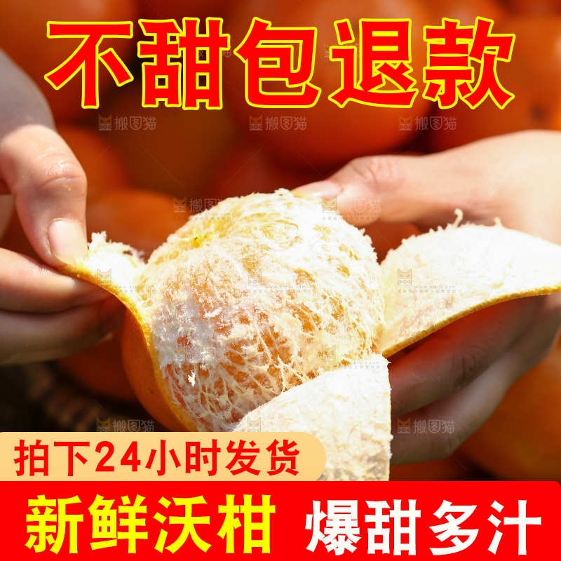 手里拿着新鲜沃柑