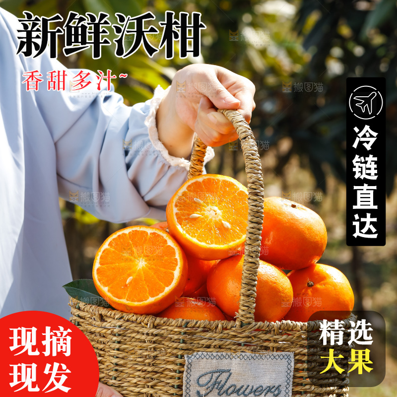 手里拿着沃柑