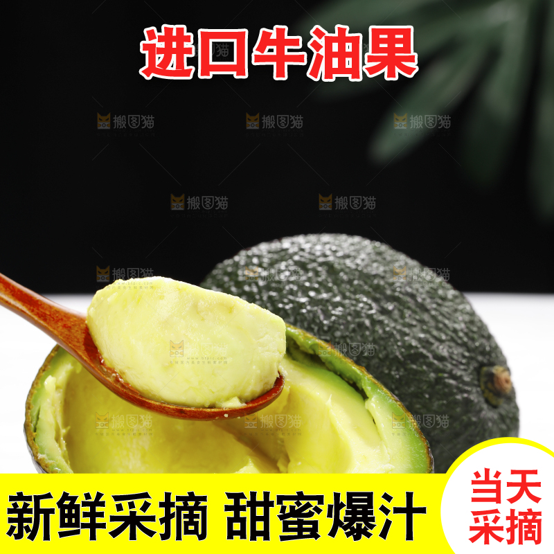 浅底上的巨无霸牛油果