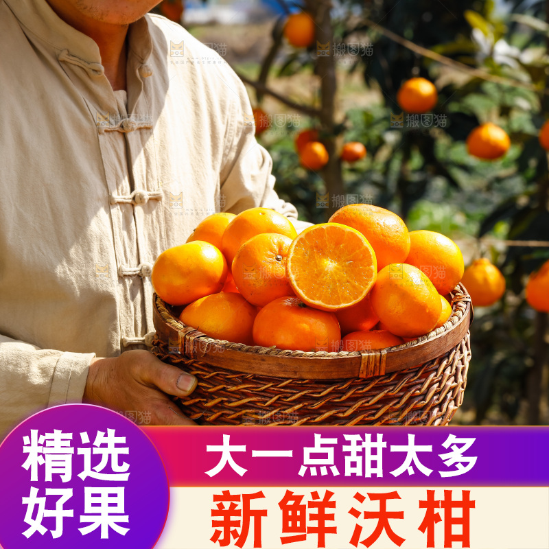 手里拿着沃柑