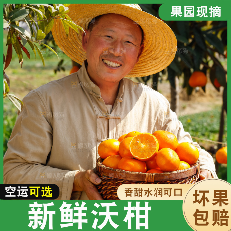 手里拿着沃柑