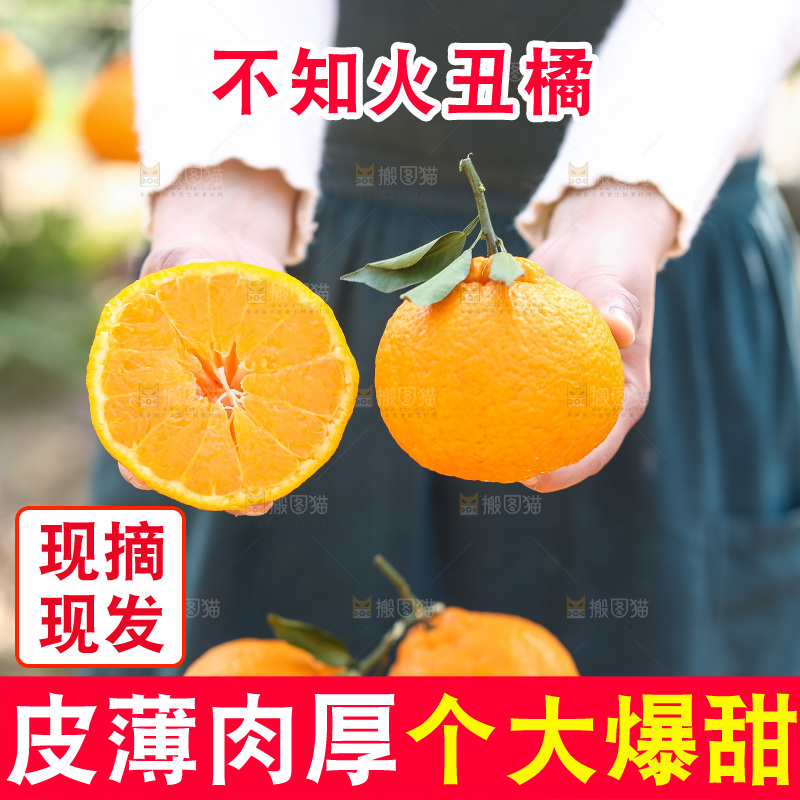 手里拿着丑八怪