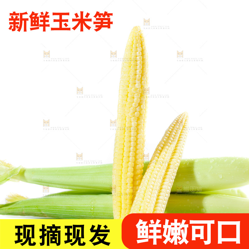 白底上的珍珠笋