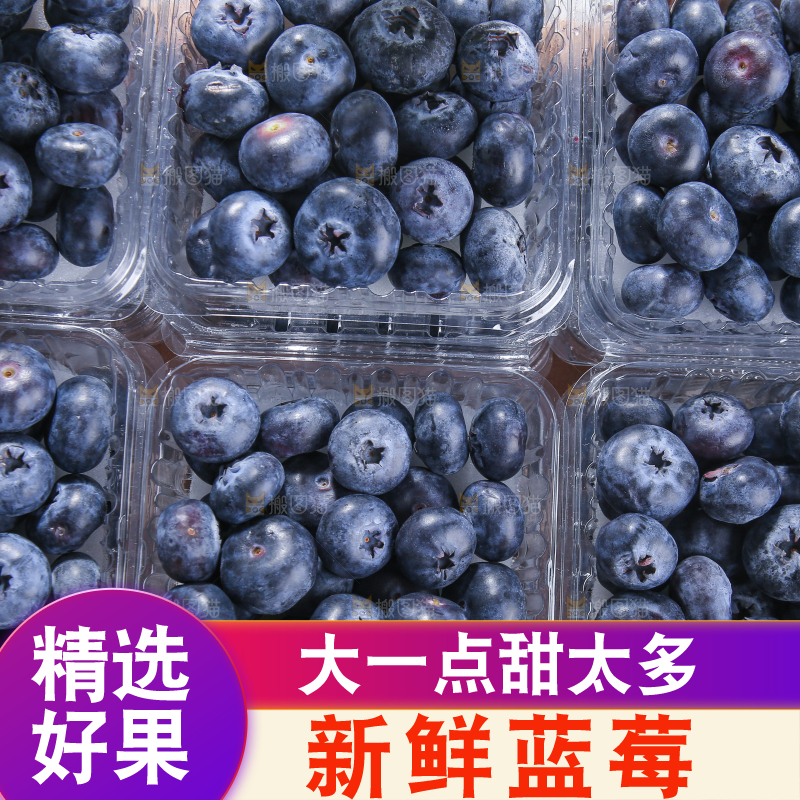 黑底上摆着的新鲜蓝莓