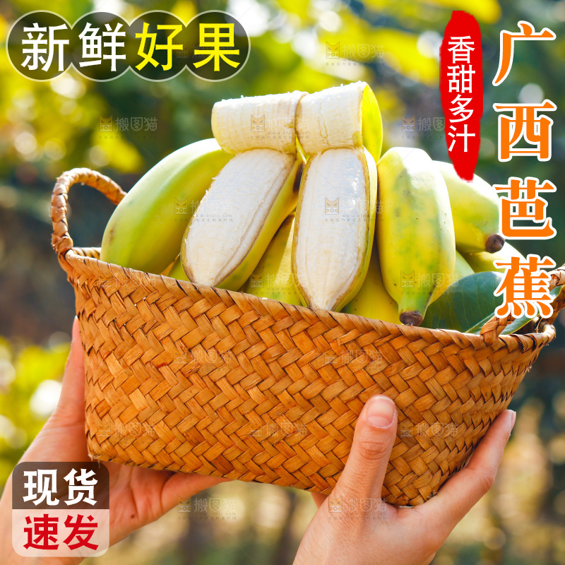 手里拿着广西芭蕉