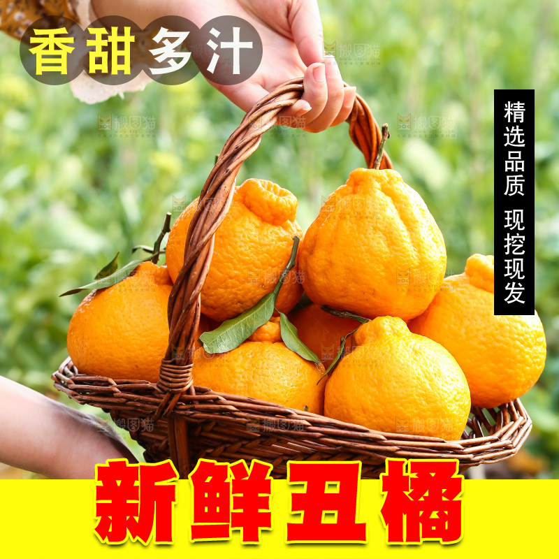 手里拿着丑八怪