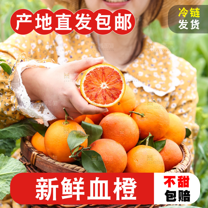 手里拿着赣南血橙