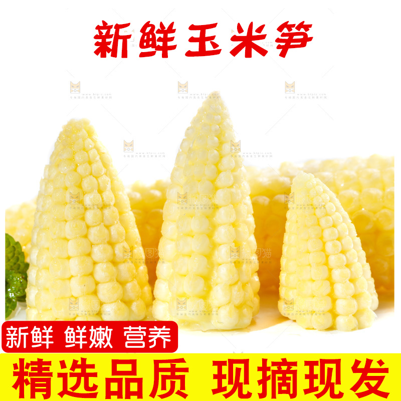 白底上的珍珠笋