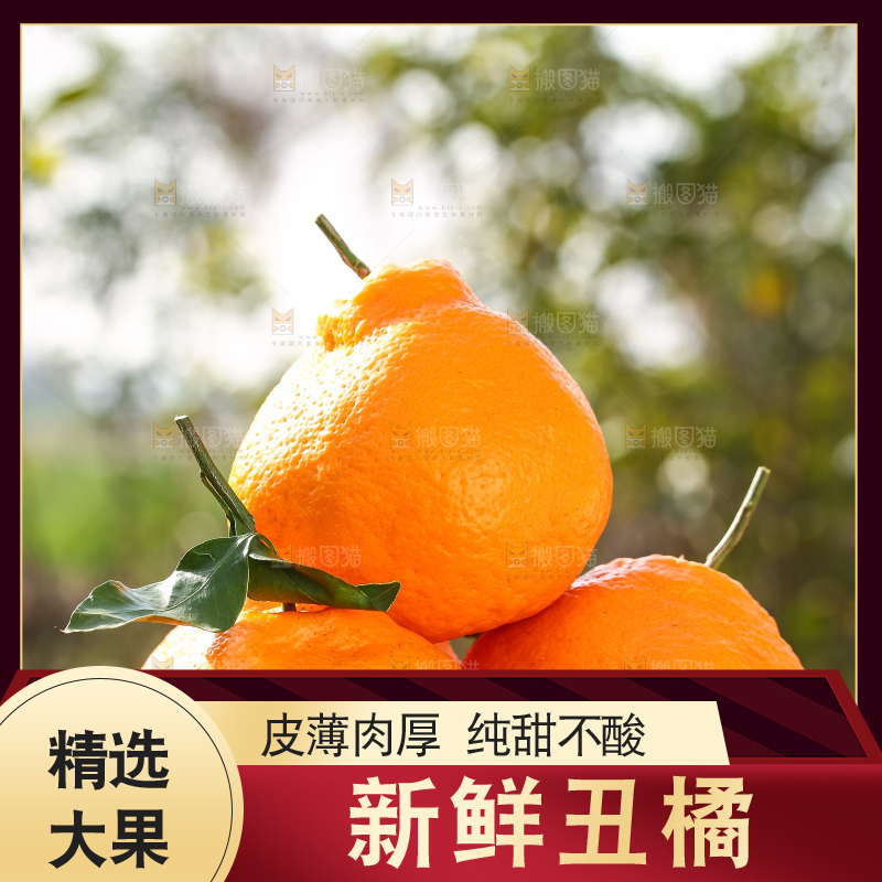 手里拿着丑八怪