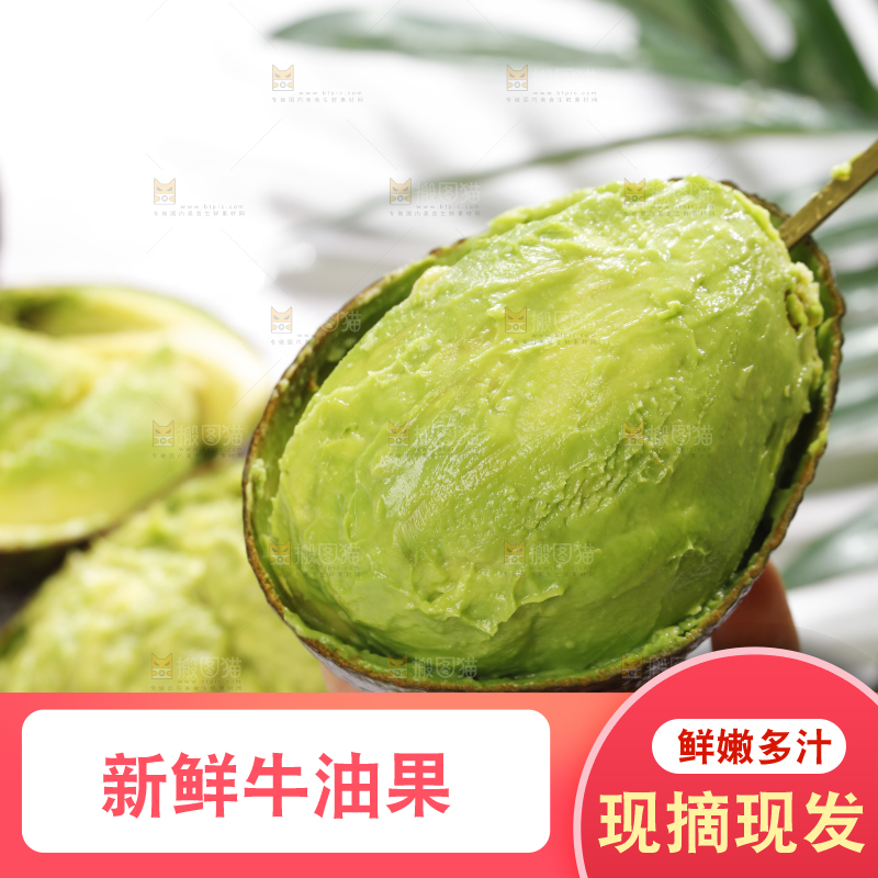 浅底上的巨无霸牛油果