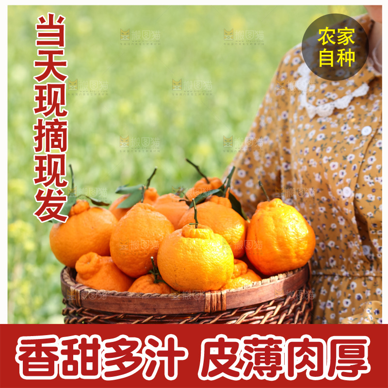 手里拿着丑八怪